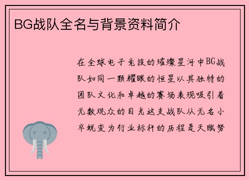 BG战队全名与背景资料简介