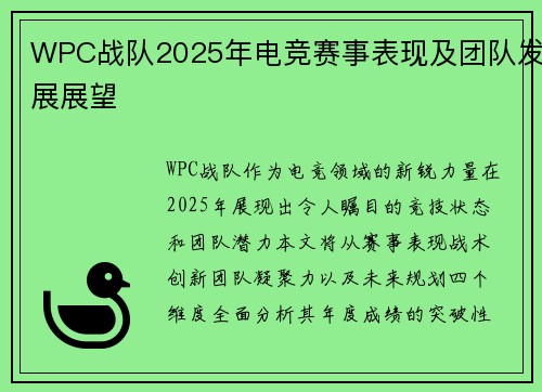 WPC战队2025年电竞赛事表现及团队发展展望